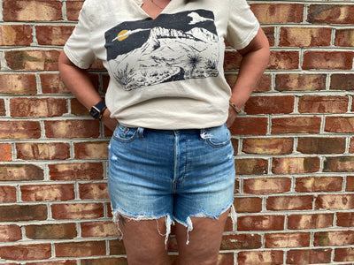 Madison High Rise Vintage Mom Shorts